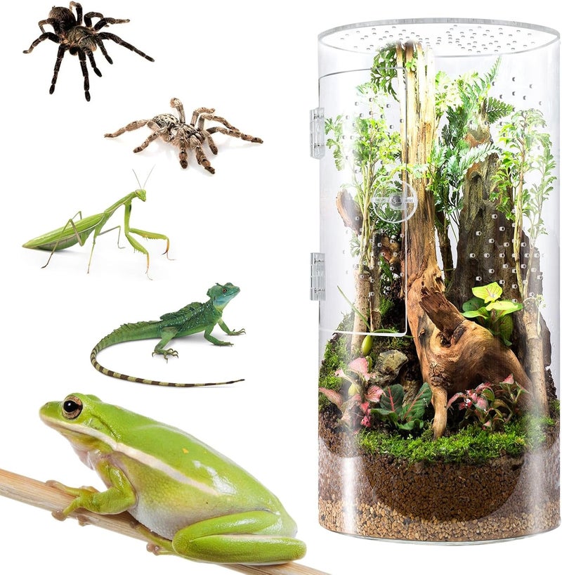 smartang Front Opening Terrarium Jumping Spider Enclosure,Tall Arboreal Tarantula Enclosure Terrarium with Cross Ventilation,Waterproof Acrylic Reptile Enclosure - Image 1